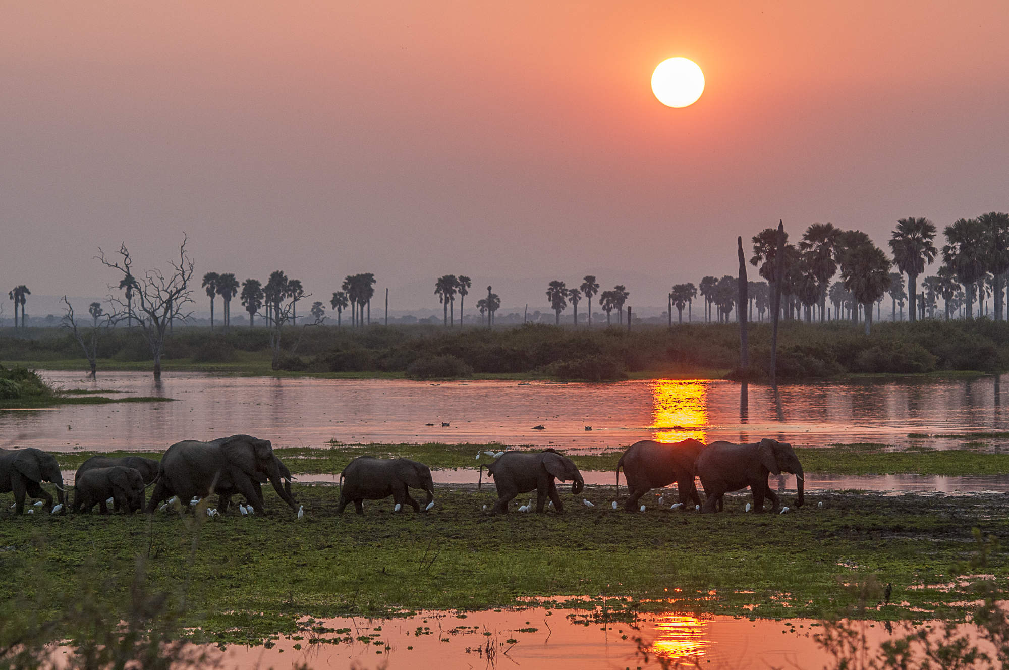 Selous Game Reserve — Tanzania safari destination